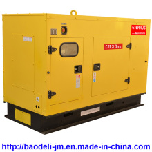 Silent Heavy Duty Diesel Generator (BU30KS)